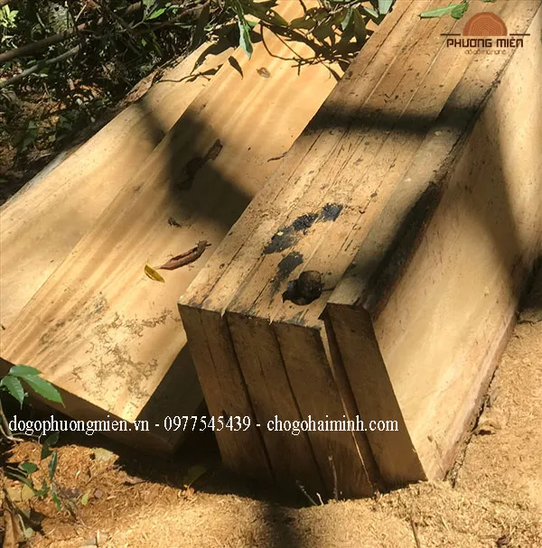 Phách gỗ dổi to đẹp chất lượng hợp phong thuỷ.