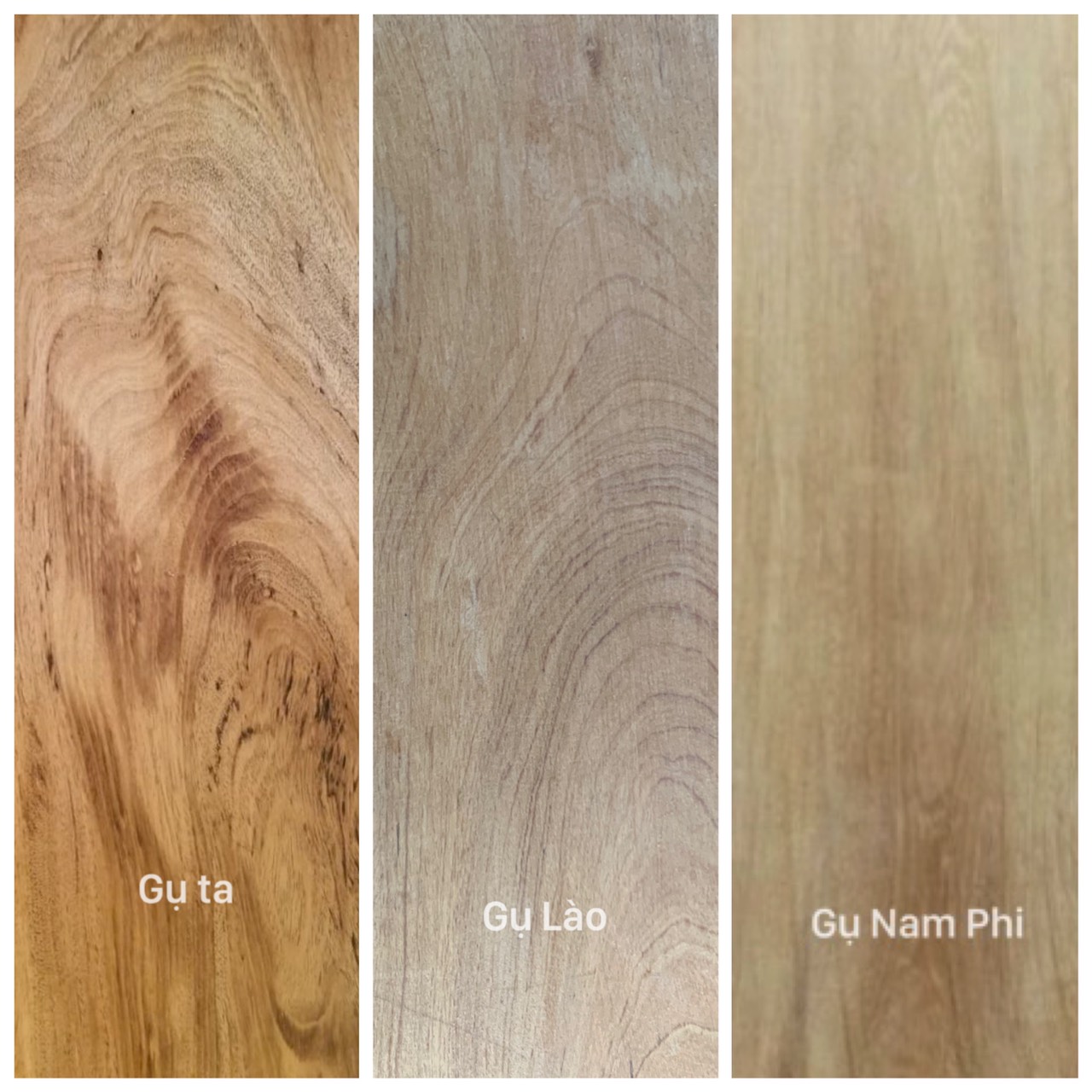 Cách nhận biết gỗ gụ nam phi